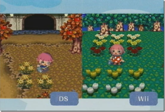 animal crossing wild world cheats for bells dsi