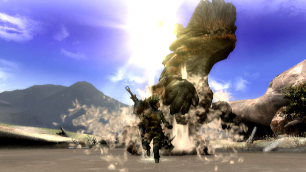 monster_hunter_3_2.jpg