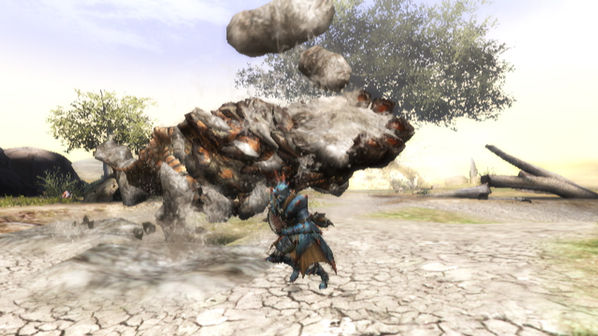 monster_hunter_3_5.jpg