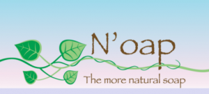 noap_logo_sm